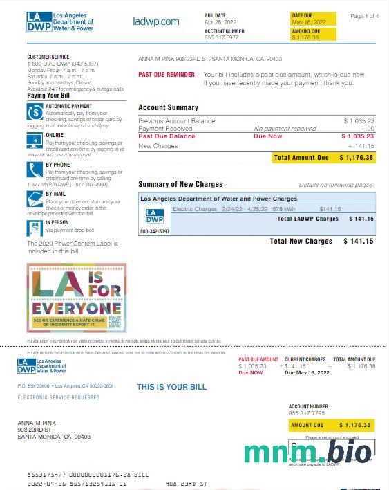 USA LA DWP rachunek za media Word i PDF template